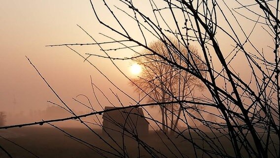 Sonnenaufgang über Weiden in Okel (Syke) von NDR 2 Hörerin Sassi © Privat 