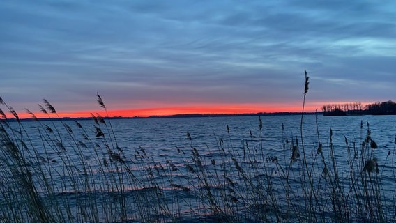 Sonnenaufgang über dem Zwischenahner Meer. © Sigrid/NDR 2 App 