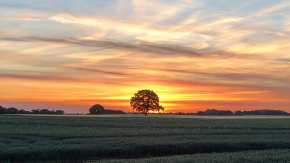 Sonnenaufgang von NDR 2 Hörer Thorben aus dem Kreis Segeberg © Privat 