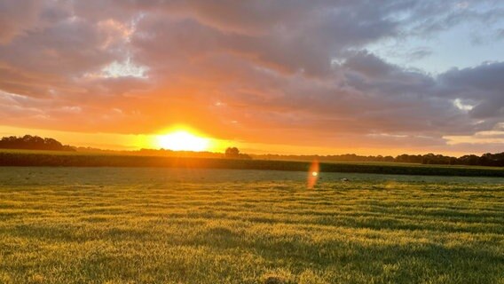 Die Sonne lugt hinter dem grünen Feld hervor und taucht das ganze Bild in orangefarbenes Licht. Ein paar dunkelblaue Wolken ziehen sich durch den Himmel. © NDR 2 Foto: NDR 2 Hörer Jörn