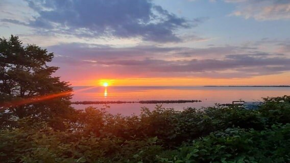 Die Sonne geht über dem Schilksee bei Kiel auf, färbt die Landschaft in ein rötliches Licht. © NDR 2 Foto: NDR 2 Hörerin Jana