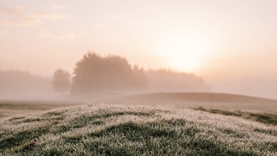 Die Sonne geht zwischen über der gewölbten Wiese eines Golfplatzes auf. Der Himmel ist durch den Nebel in ein milchiges Orange getaucht. © Privat Foto: NDR 2 Hörerin