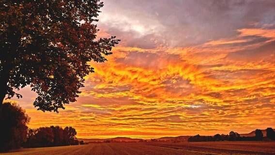 Die Sonne geht über einem Feld auf und färbt den Himmel rot ein. © Privat Foto: NDR 2 Hörerin Nicole