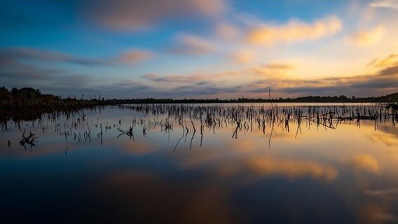 Die Morgensonne spiegelt sich in einem See. Halme ragen aus dem Wasser, ringsherum liegt ein Moor. © Privat Foto: NDR 2 Hörer Detlev