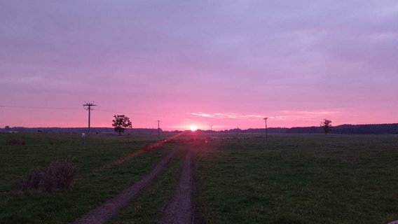 Der Sonnenaufgang über Priborn. © Privat Foto: NDR 2 Hörer Pierre