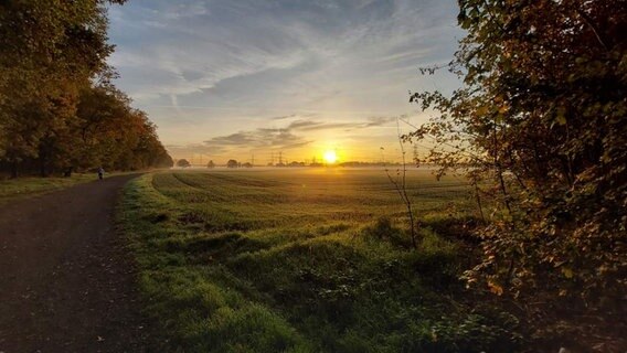 Sonnenaufgang über einem Feld in der Nähe von Peine. Neben dem Feld ist ein Weg. © Privat Foto: NDR 2 Hörerin Almuth