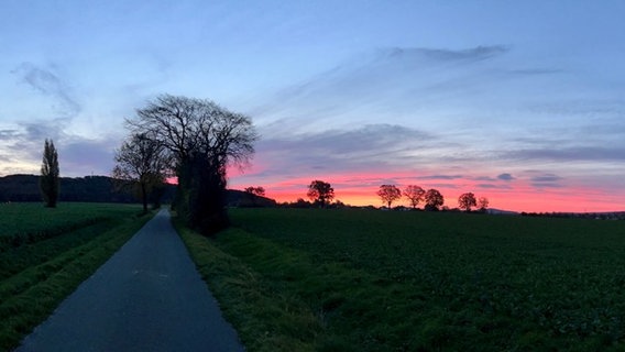 Die Sonne geht am Horizont auf, vor dem rot gefärbten Himmel sind stehen ein paar Bäume. Das Licht strahlt durch die Baumkronen am Benther Berg. © Privat Foto: NDR 2 Hörer Raik