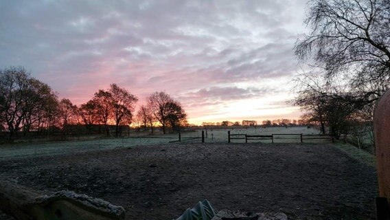 Sonnenaufgang bei einer Pferdekoppel. © Privat Foto: NDR 2 Hörerin Maren