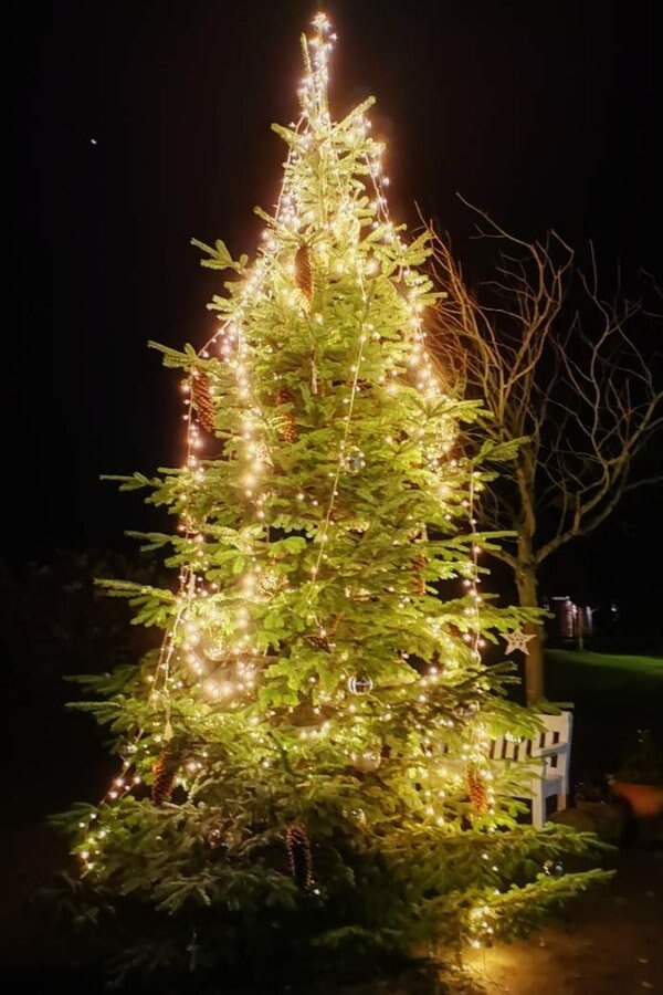 Der Weihnachtsbaum auf der Insel Spiekeroog. © Privat Foto: NDR 2 Hörer Angela & Holger Bloem