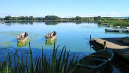 Boote auf dem Seeburger See (privat/Max Neumann) Boote auf dem Seeburger See (privat/Max Neumann) © privat Max Neumann