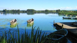 Boote auf dem Seeburger See (privat/Max Neumann) © privat Max Neumann 