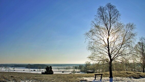 Winterlandschaft am Lönsstein bei Müden in der Lüneburger Heide.  