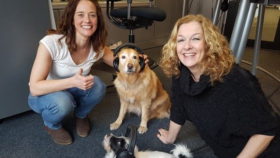 Kate Kitchenham mit ihren Hunden Emma und Knox und Bettina Tietjen © NDR 2 Foto: Andreas Sorgenfrey