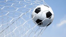 Ein Fußball fliegt in das Netz eines Tores. Ein Fußball fliegt in das Netz eines Tores. © fotolia.com Foto: joesive47
