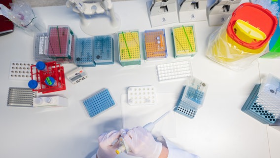 Eine biologisch-technische Assistentin bereitet die Sequenzierung von positiven PCR-Tests in der PCR-Analytik im Labor vom Niedersächsischen Landesgesundheitsamt (NLGA) vor Eine biologisch-technische Assistentin bereitet die Sequenzierung von positiven PCR-Tests in der PCR-Analytik im Labor vom Niedersächsischen Landesgesundheitsamt (NLGA) vor © picture alliance Foto: Julian Stratenschulte