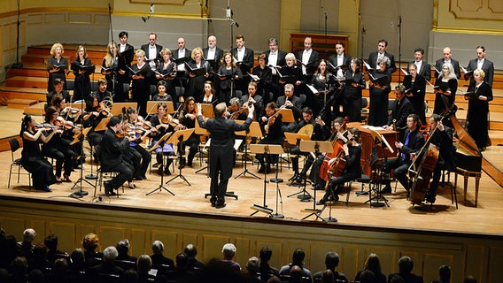 Konzertszene: Philipp Ahmann leitet das B'Rock Baroque Orchestra und den NDR Chor © NDR Foto: Falk von Traubenberg