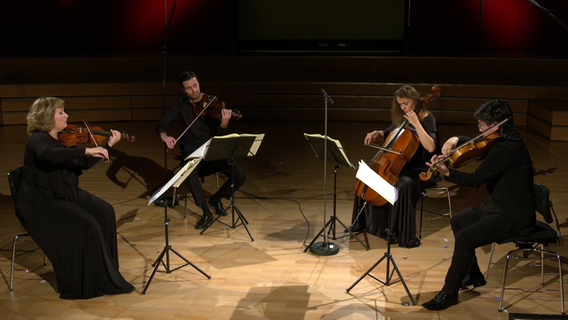 Konzertseite: Das Noah Quartett mit Mitgliedern des NDR EO spielt das "Dissonanzenquartett" für Streicher von Mozart. © NDR Foto: Screenshot
