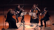 Screenshot: Das Noah Quartett spielt im Rolf-Liebermann-Studio. © NDR Foto: Screenshot