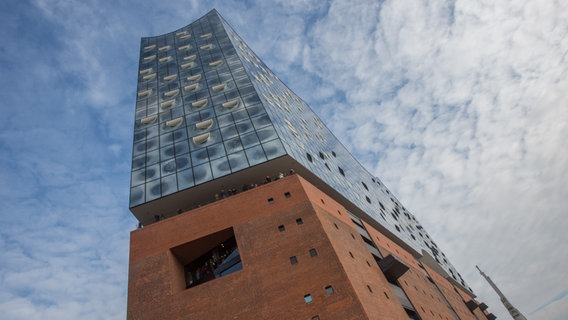 Die Elbphilharmonie aus der Froschperspektive © NDR Foto: Axel Herzig