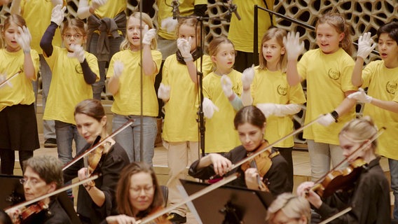 Screenshot: Szene aus dem Familienkonzert mit Filmmusiken für alle ab sechs Jahren in der Elbphilharmonie. © NDR Foto: Screeshot