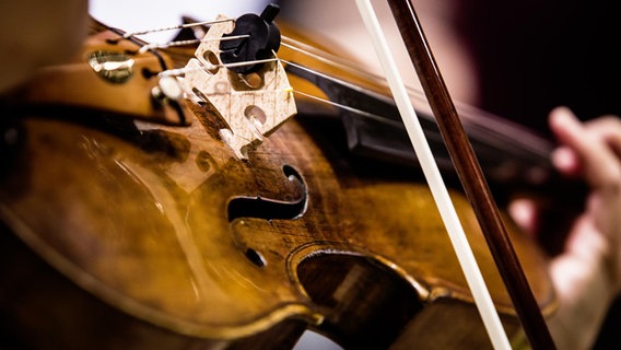 Detailaufnahme: Eine Geige wird gespielt © NDR  / Peter Hundert Foto: Peter Hundert