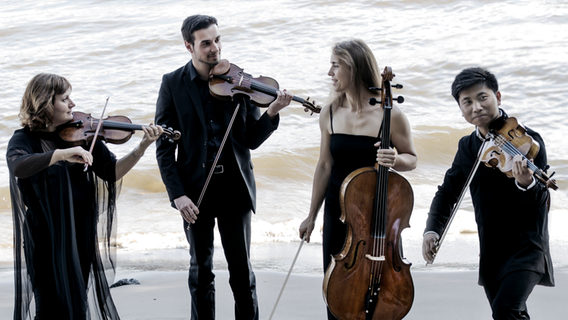 Ensemblebild am Strand: Das Noah Quartett mit Alexandra Psareva, Michael Stürzinger, Bettina Barbara Bertsch und Erik Wenbo Xu (v.l.n.r.) © Gela Megrelidze 