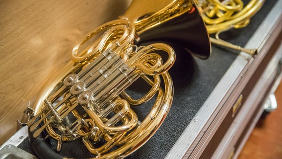 Zwei Hörner liegen  auf einem Instrumentencase © NDR Foto: Axel Herzig