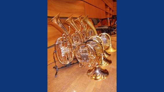 Vier Wagnertuben und vier Hörner stehen in zwei Reihen hintereinander. © NDR Sinfonieorchester 