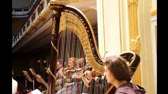Blick vom Orchester auf die Harfespielerin und die zweiten Geiger  
