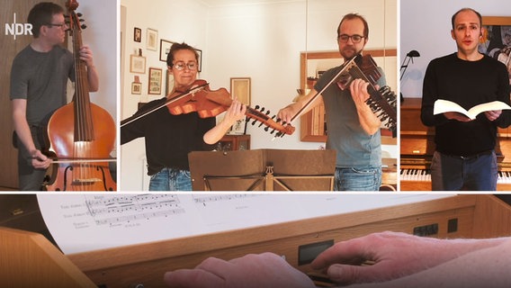 Screenshot: Die Musiker Volker Donandt (Kontrabass), Aline Saniter und Jan Larsen (Bratsche) und Andreas Heinemeyer (Bass) im Splitscreen © NDR Foto: Screenshot