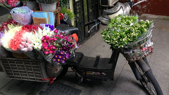 Ein mit Schnittblumen beladenes Mofa  