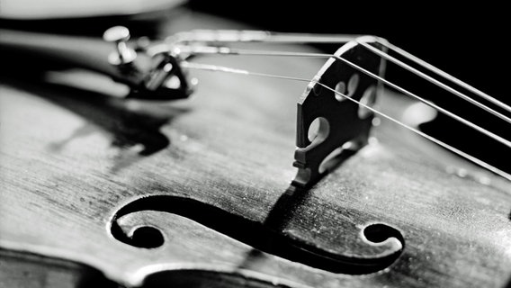 Violine © NDR Foto: Klaus Westermann