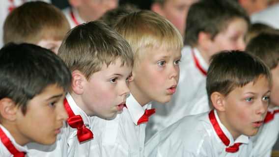 Der Hamburger Knabenchor St. Nikolai in Aktion (Ausschnitt) © Knabenchor Hannover 