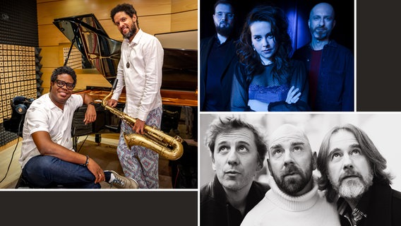 Montage: Alma en Cuba, Kasia Pietrzko Trio, Singülar © NDR Foto: Javier Monteverde (Alma en Cuba) / Bartosz Maciejewski (Kasia Pietrzko Trio) / Lynn Theisen (Singülar)