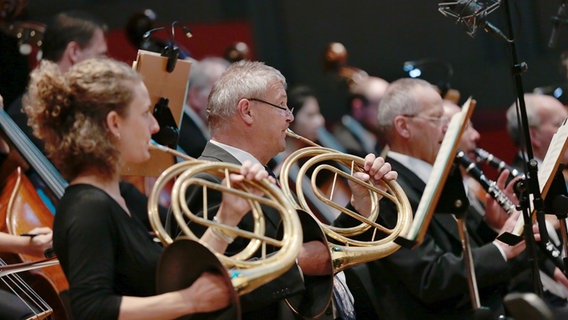 Hornist*innen Susanne Thies und Johannes-Theodor Wiemes aus der NDR Radiophilharmonie © NDR Foto: Micha Neugebauer