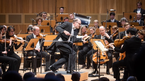 Andrew Manze und die NDR Radiophilharmonie © NDR Foto: Helge Krückeberg