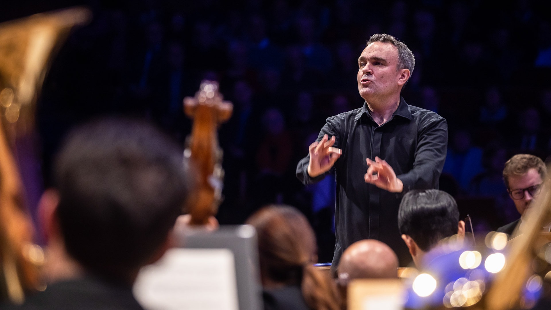 Ein Mann dirigiert und schaut ins Orchester © NDR Foto: Helge Krückeberg