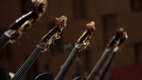 Hälse von Streichinstrumenten © NDR Foto: Micha Neugebauer