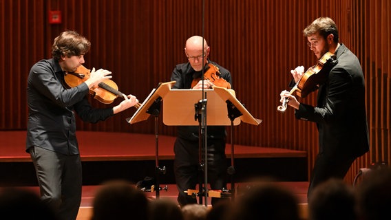 Die Bratscher Francois Lefèvre, Robert Shepley und Carlos Campos Medina spielen pizzicato. © NDR Foto: Carsten P. Schulze