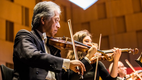 Hiroto Yashima, Violine © NDR / Kevin Münkel Foto: Kevin Münkel