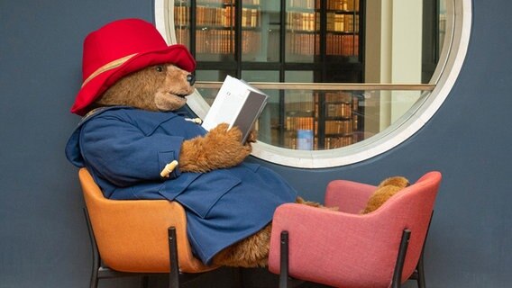 Paddington-Bär sitzt auf einem Stuhl und liest ein Buch © picture alliance/dpa/PA Wire | Dominic Lipinski 