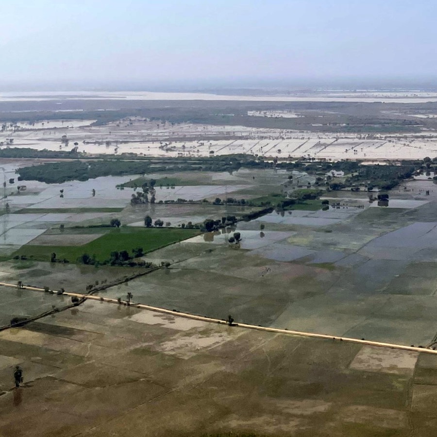 Überflutete Felder in Pakistan © NDR Foto: Peter Hornung