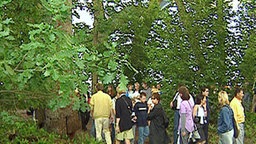 Besucher in der Wald-Etage des niederländischen Expo-Pavillons. © NDR 