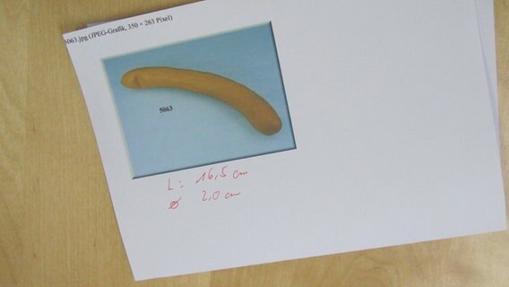 Bildausdruck einer Bockwurst auf Papier mit Größenangaben. © NDR Foto: Ulrike Ziesemer