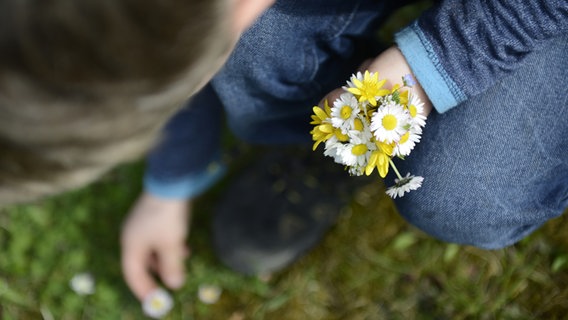 Ein Kind pflückt Blümchen auf einer Wiese. © Photocase Foto: Weigand