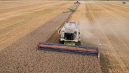 Ein Mähdrescher erntet Weizen in Zghurivka, Ukraine. © dpa-Bildfunk Foto: Efrem Lukatsky