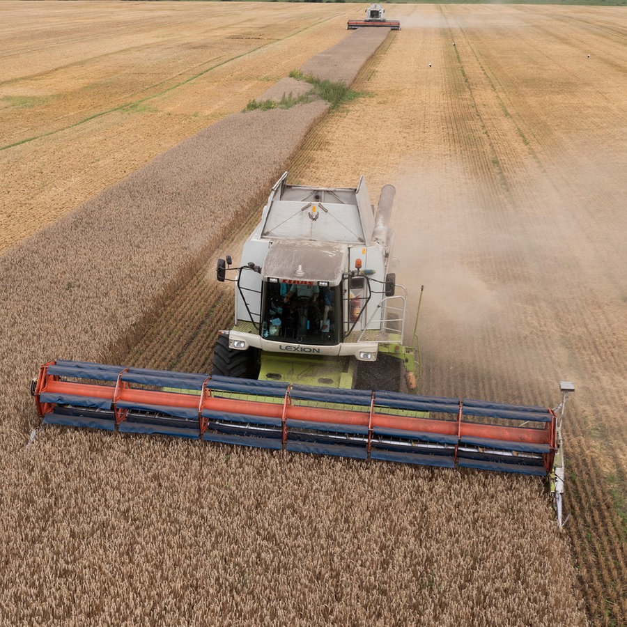 Ein Mähdrescher erntet Weizen in Zghurivka, Ukraine. © dpa-Bildfunk Foto: Efrem Lukatsky