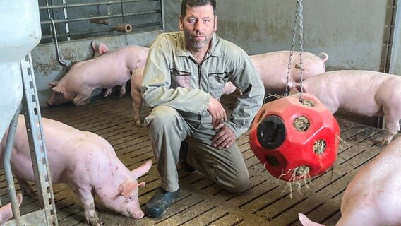 Schweinemäster Stefan Wille genannt Niebur im Stall  