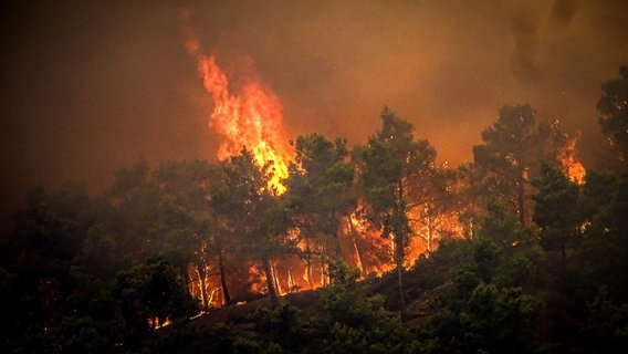 Ein brennendes Waldstück auf der griechischen Insel Rhodos © picture alliance/dpa/Eurokinissi/AP Foto: Argyris Mantikos