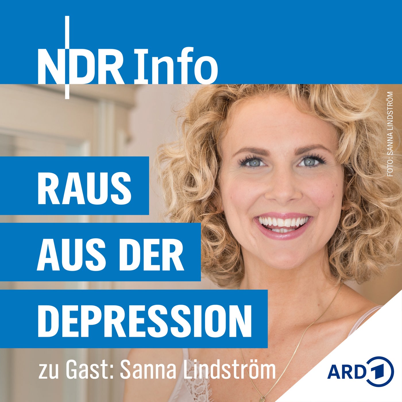 Sanna Lindström - Kann Arbeit auch Depressionen verursachen?